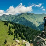 Understanding the Capital One Travel Portal: A Comprehensive Guide