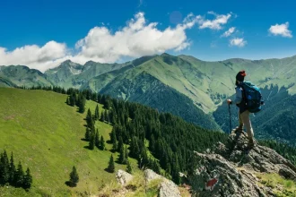 Understanding the Capital One Travel Portal: A Comprehensive Guide