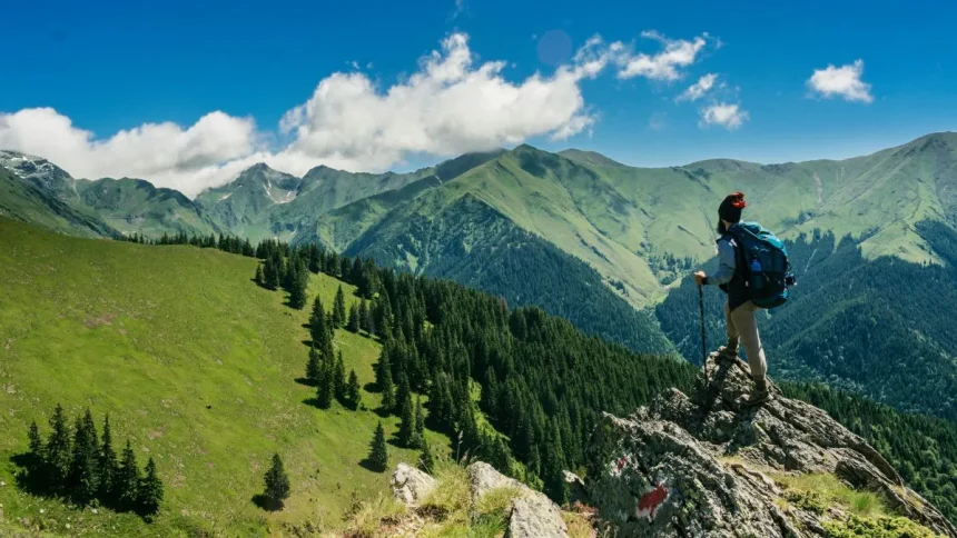 Understanding the Capital One Travel Portal: A Comprehensive Guide