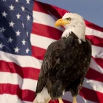 Understanding USA Politics: A Simple Guide