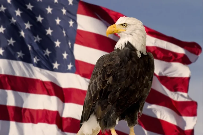 Understanding USA Politics: A Simple Guide