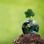 The Rise of Eco-Rights: Nature's Legal Journey