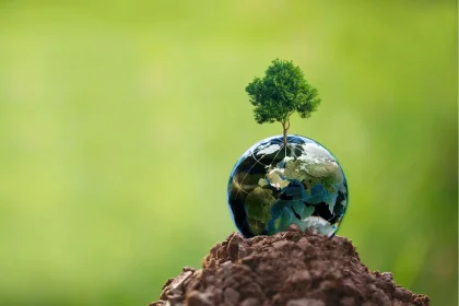 The Rise of Eco-Rights: Nature's Legal Journey