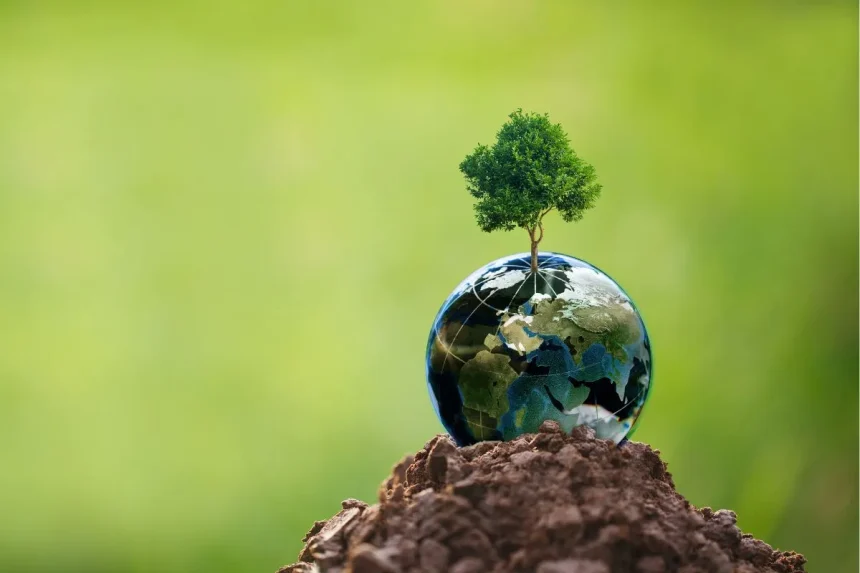 The Rise of Eco-Rights: Nature's Legal Journey