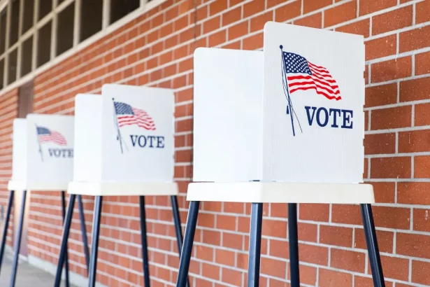 Ballot Access in the 2024 United States Presidential Election