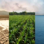 Climate Change