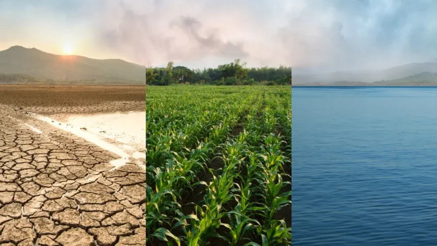 Climate Change