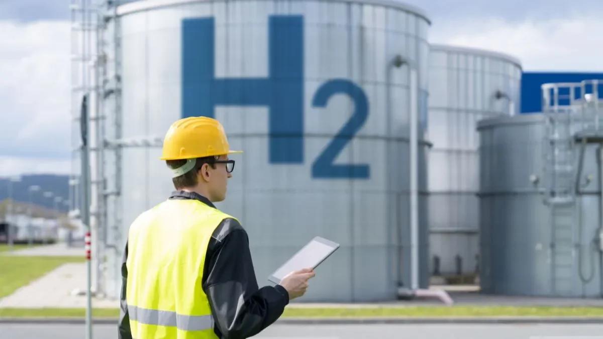 The Future of Green Hydrogen The Future of Green Hydrogen